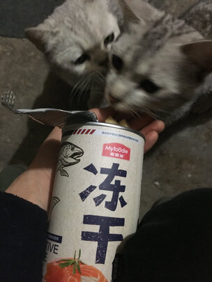 猫冻干