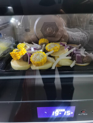 松下蒸烤箱SC300B评价好不好呢？两个月感受剖析