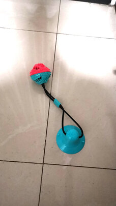 狗狗玩具
