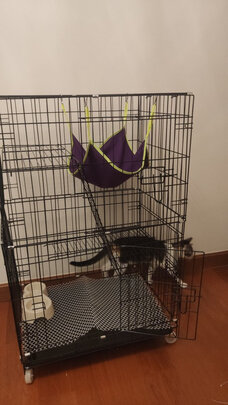 猫笼