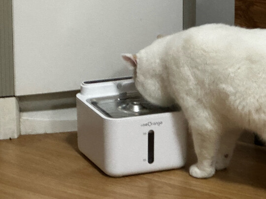 宠物饮水机