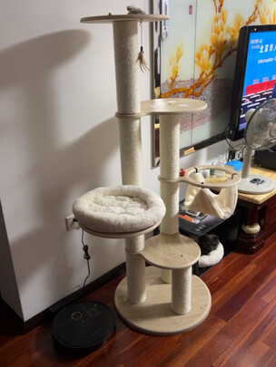 猫爬架
