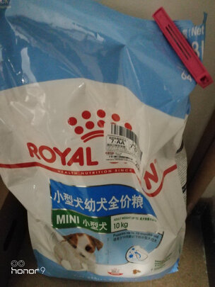 狗粮