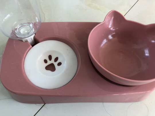 猫碗狗碗