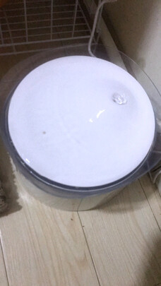 宠物饮水机