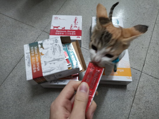 猫条猫零食