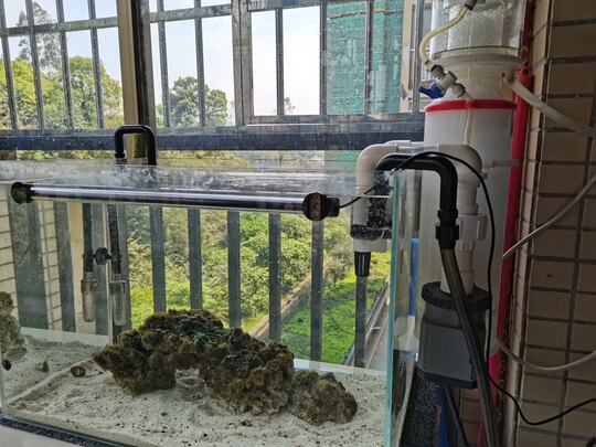鱼缸净水剂
