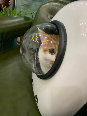 猫包