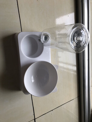 宠物饮水机
