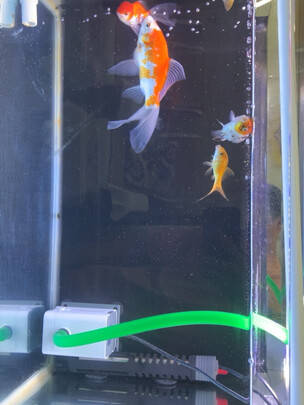 鱼缸灯led灯