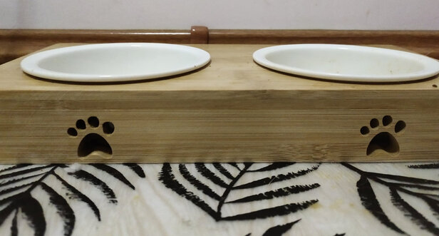 猫碗狗碗