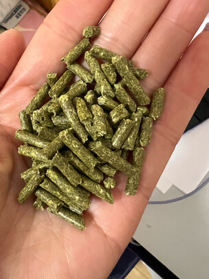 兔粮牧草