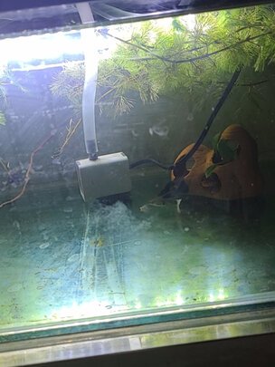鱼缸潜水泵