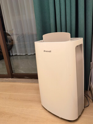 BrandtD22L除湿机|BrandtD22L除湿机到底怎么样，参数如何！