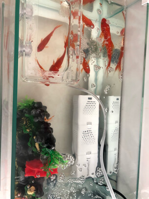 鱼缸过滤器