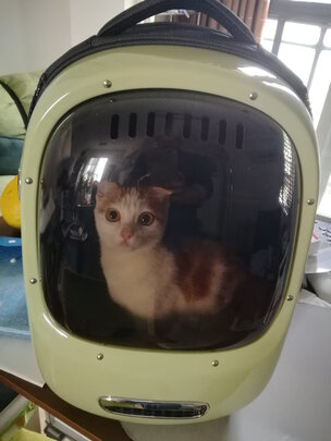 宠物航空箱