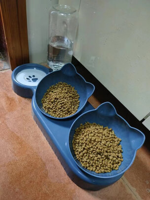 猫碗狗碗