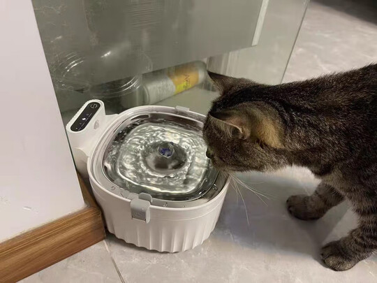 宠物饮水机