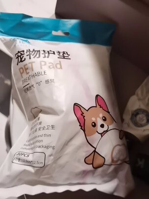 狗狗生理裤