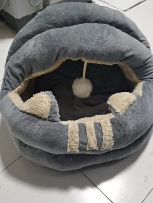 狗窝