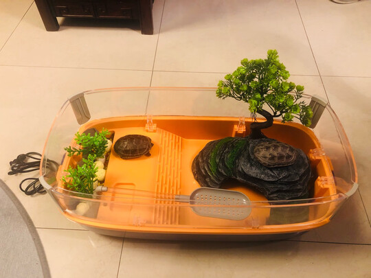 乌龟缸