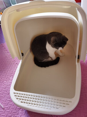 猫砂盆