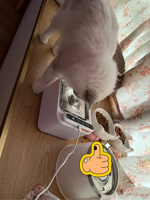 宠物饮水机