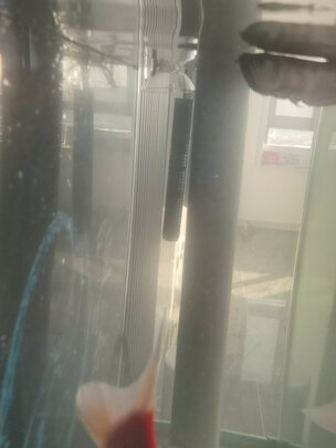 鱼缸加热棒