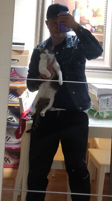 猫零食