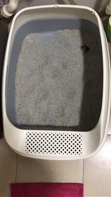 猫砂盆