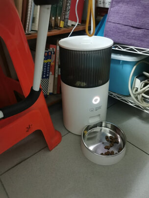 猫碗狗碗