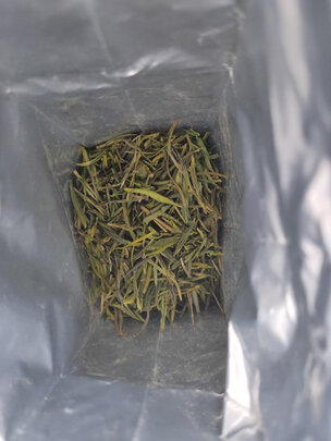安吉白茶