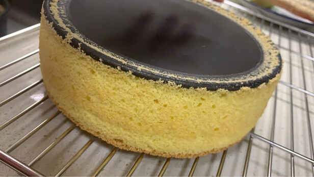 daogrs蒸烤箱G3好还是G7好？用后一周谈感受