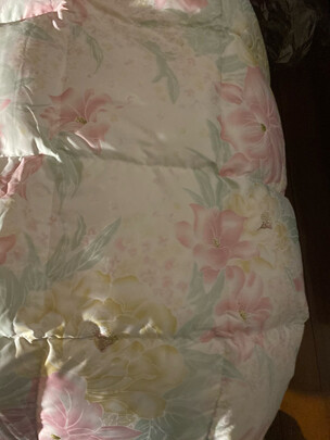 富安娜奥菲利亚白鹅绒加厚被评判质量差有依据吗？