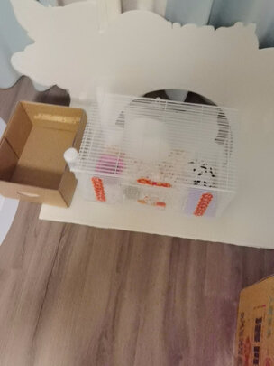仓鼠浴沙