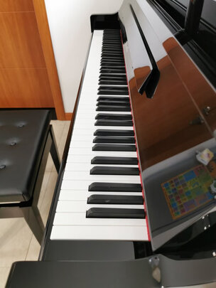 求助专家:珠江钢琴里特米勒J6 127cm怎么样?真实买家亲身体验反馈