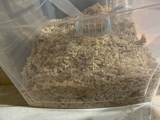 仓鼠木屑