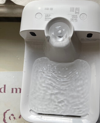宠物饮水机