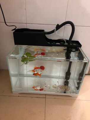 鱼缸水泵