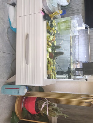 鱼缸硝化细菌