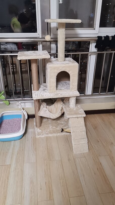 猫爬架