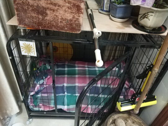  狗笼
