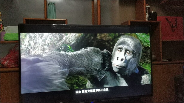 不吹不黑雅萌max旗舰版好不好质量差不差多留个心眼？千万不要被表面迷惑了？