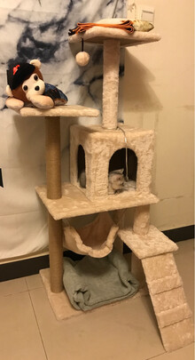 猫爬架