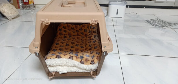 宠物航空箱