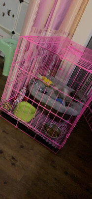 狗狗玩具