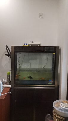 鱼缸刮藻刀
