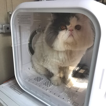  宠物烘干箱