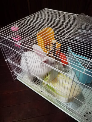兔粮