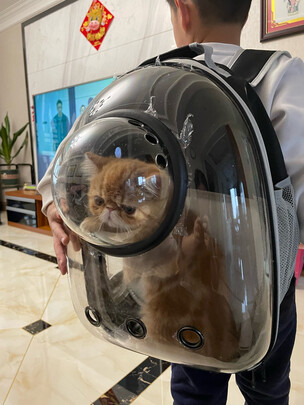 猫包